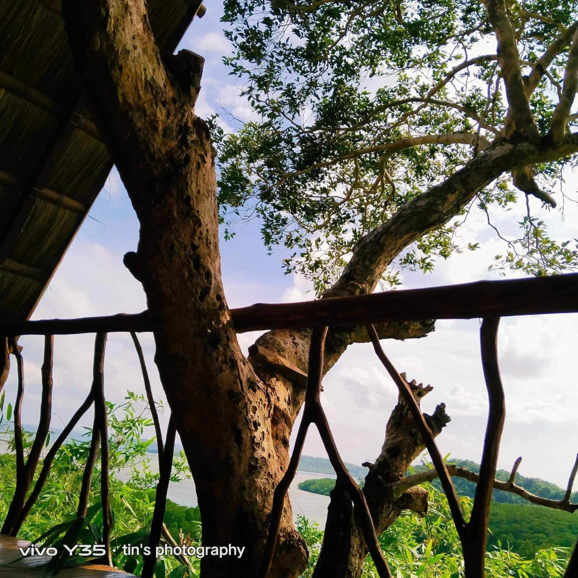 Sanctuaria Treehouses Busuanga Exterior photo