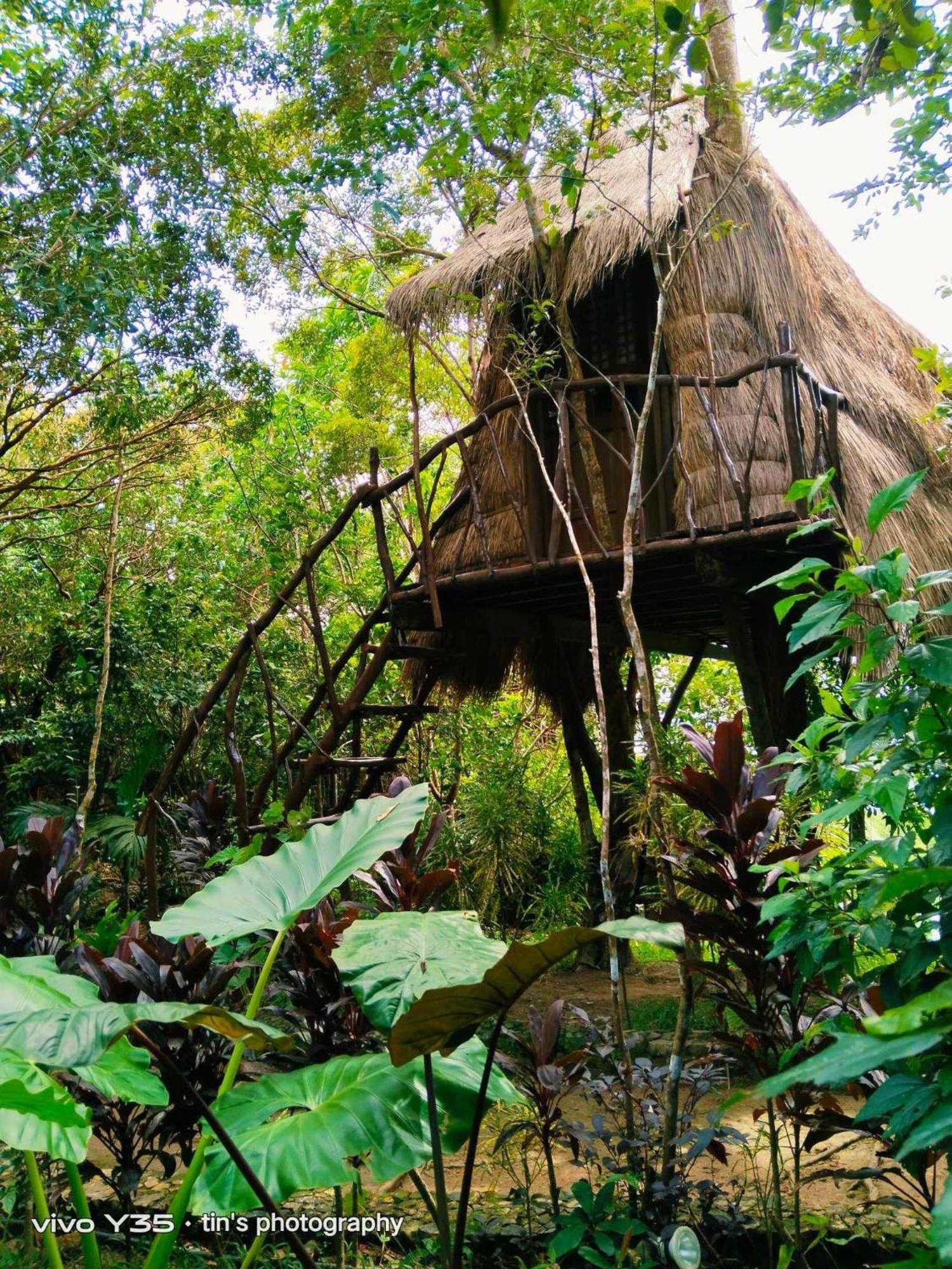 Sanctuaria Treehouses Busuanga Exterior photo