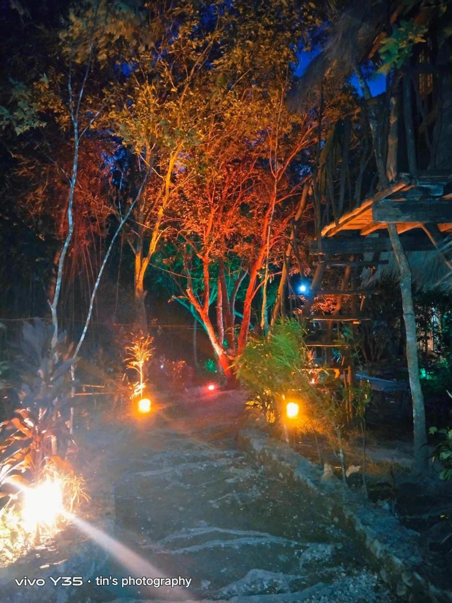 Sanctuaria Treehouses Busuanga Exterior photo