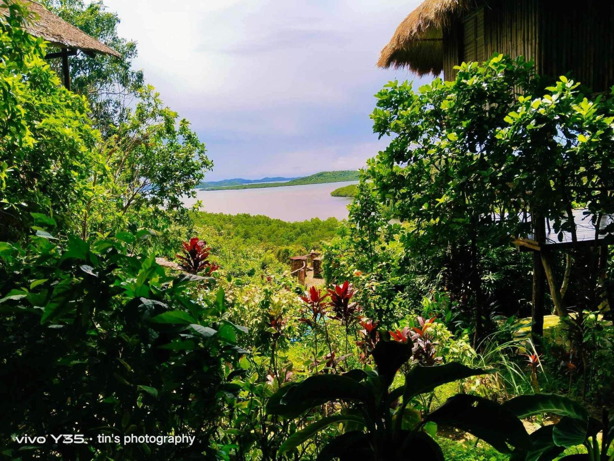 Sanctuaria Treehouses Busuanga Exterior photo