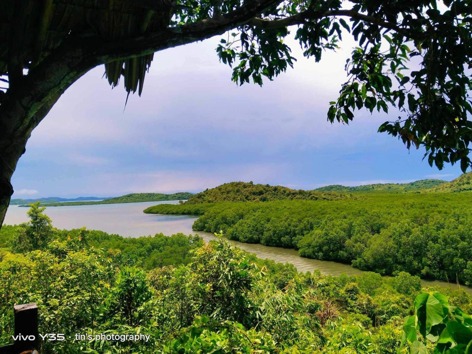Sanctuaria Treehouses Busuanga Exterior photo
