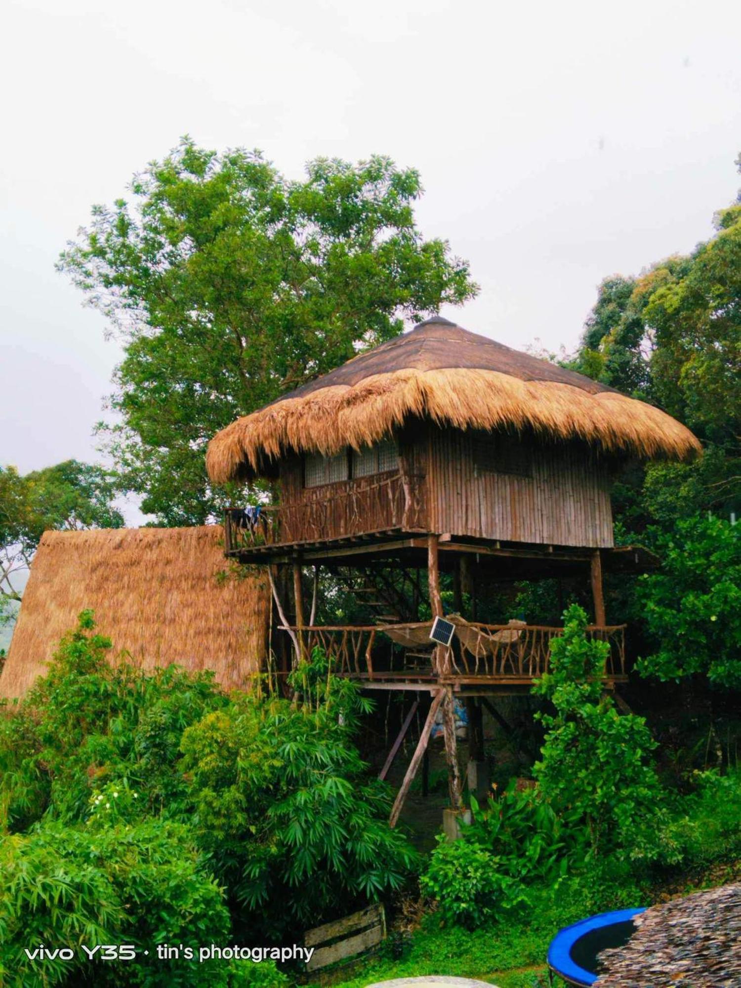 Sanctuaria Treehouses Busuanga Exterior photo