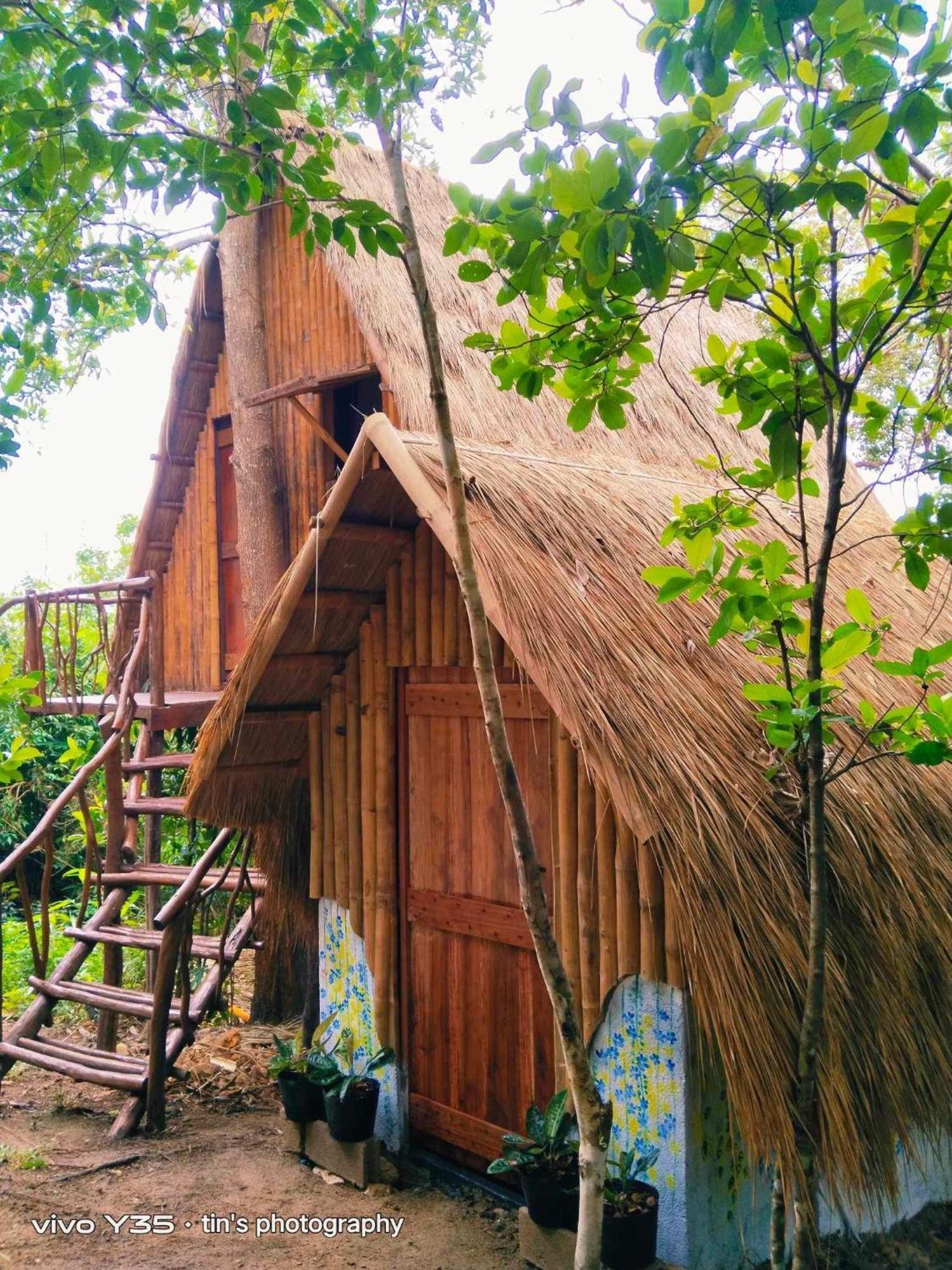 Sanctuaria Treehouses Busuanga Exterior photo